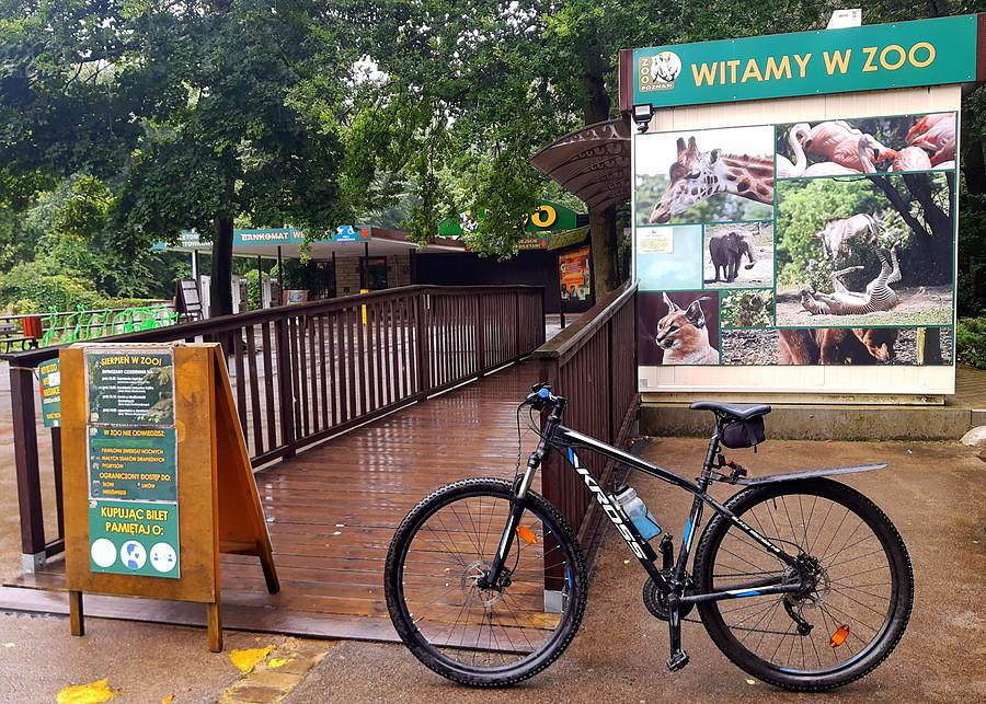 Przy bramie poznańskiego ZOO