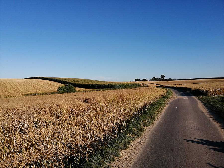 Jest blisko 300 km., ale postanawiam nigdzie nie odbijać w celu dobicia kilometrów. Widocznie tyle miało być :P