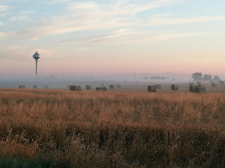Z rana spora mgła i około 10 stopni.