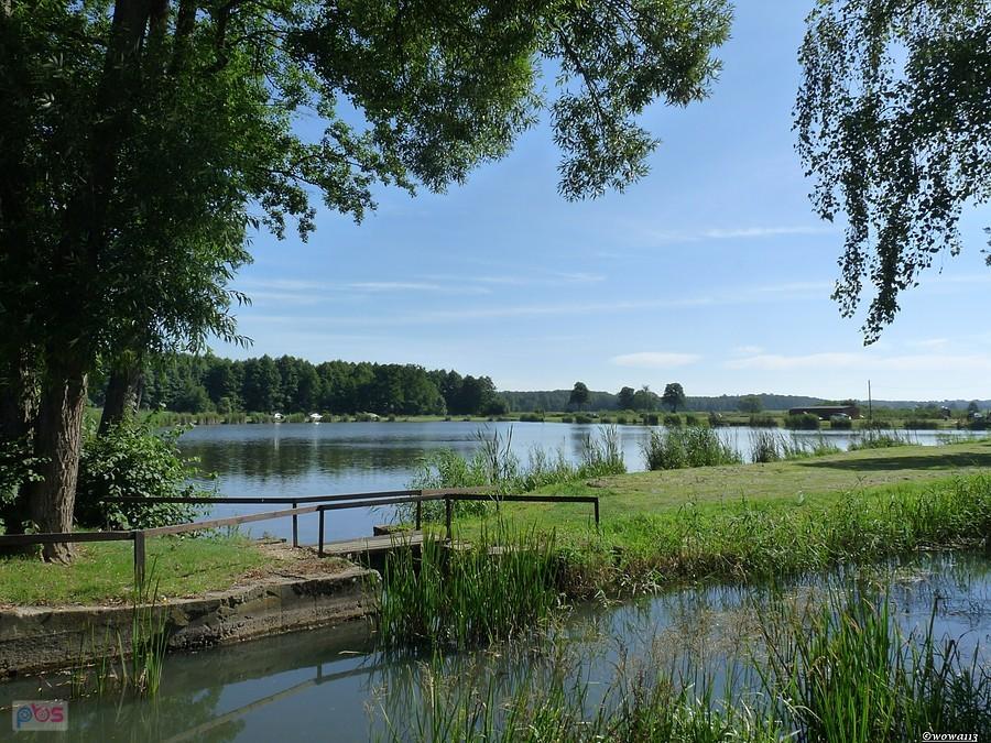 Stawy hodowlane w Kadłubie