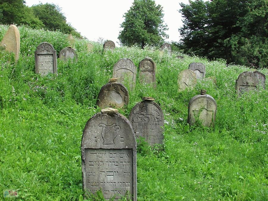 Cmentarz żydowski w Rybotyczach położony jest na wzgórzu, kilkaset metrów za granicami wsi