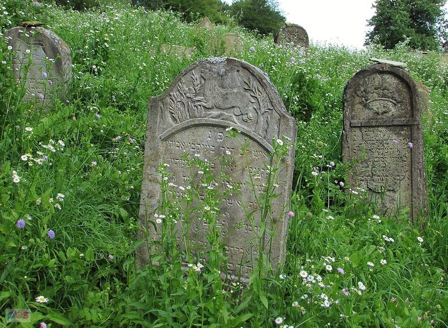 Jednym z częstych symboli na macewach jest jeleń, który był przypisany do imienia Cwiego