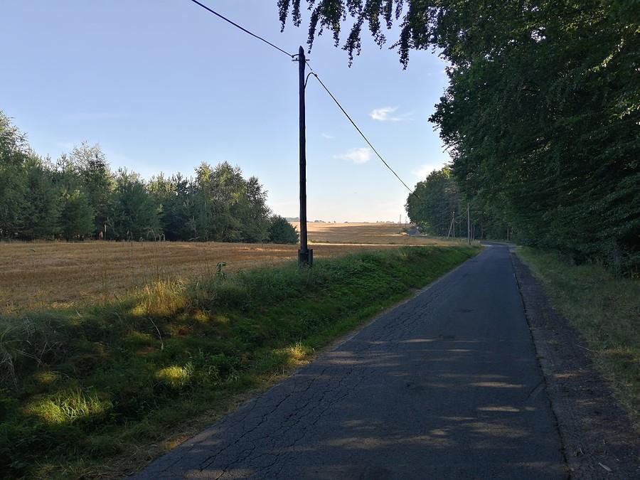 Gdzieś za Ujazdem na bocznej drodze.
