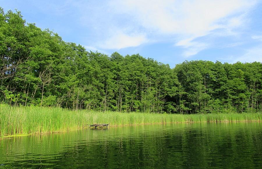 Klimatyczna zatoczka, Jezioro Strzeszyńskie, Poznań