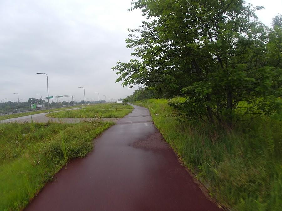 Wirażową na południe