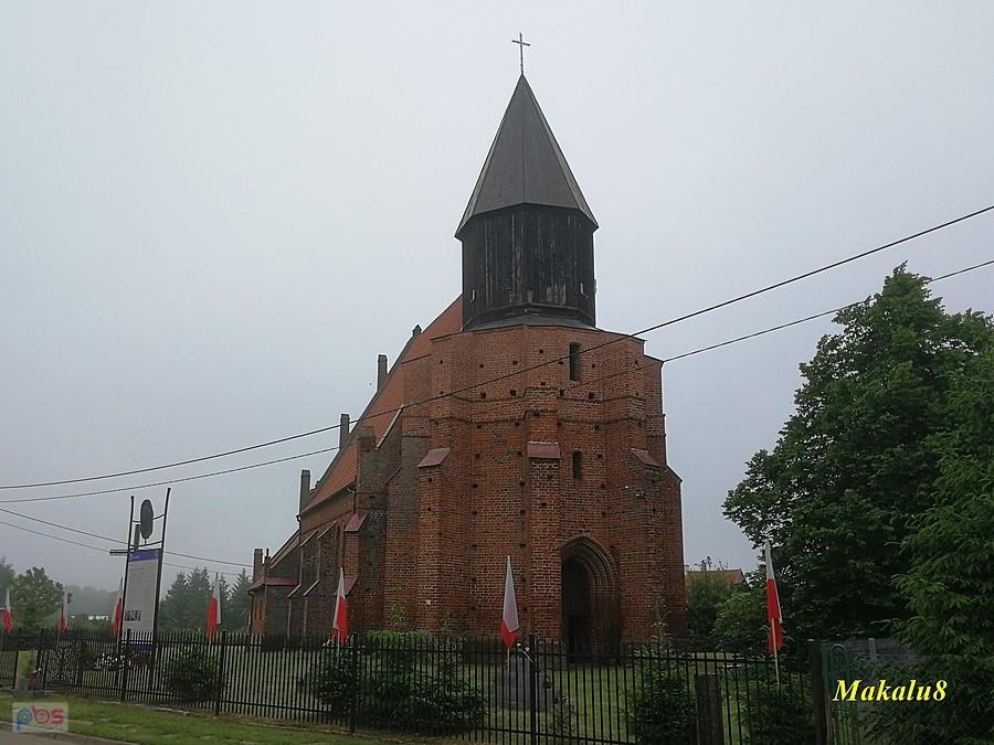 Tuja