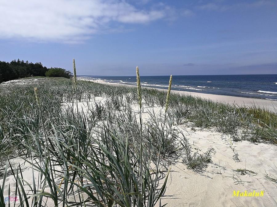 Plaża Piaski