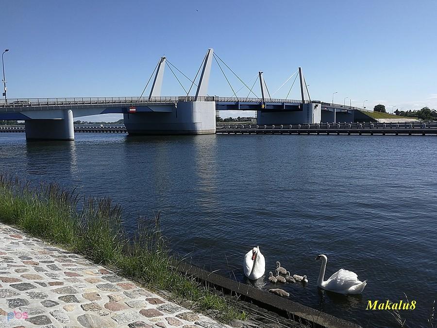Sobieszewo