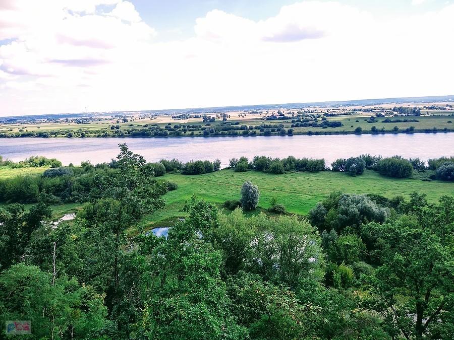 Rezerwat Wiosło Duże