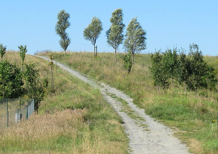 Pagórek na Minikowie, Poznań