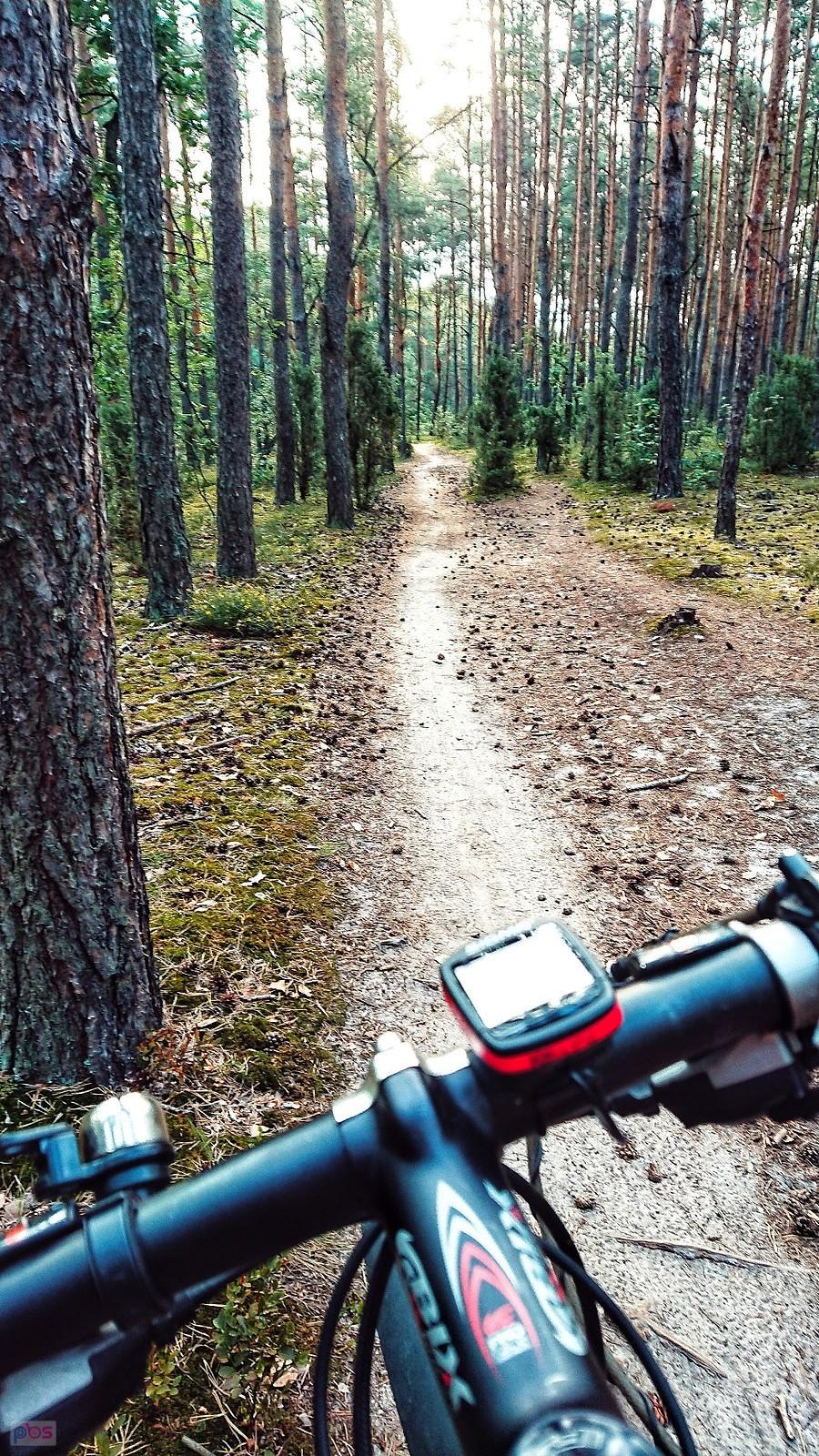 Kampinos