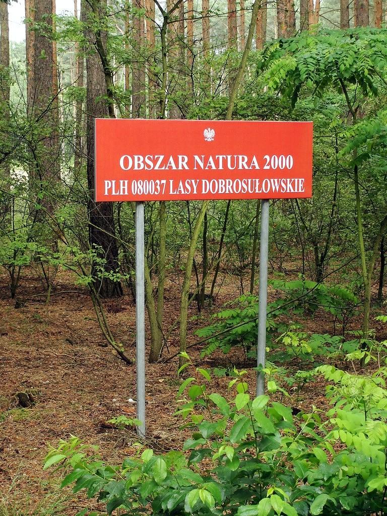 Obszar natura 2000 - Lasy Dobrosułowskie
