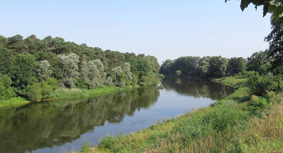 Warta na wysokości wsi Wiórek