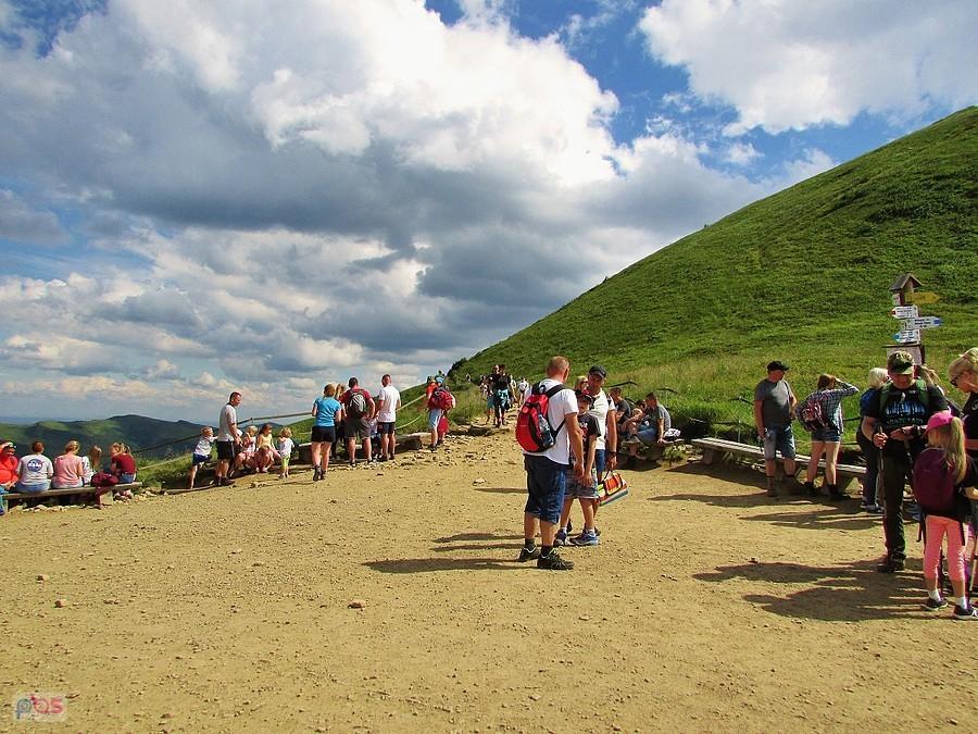 Przełęcz pod Tarnicą