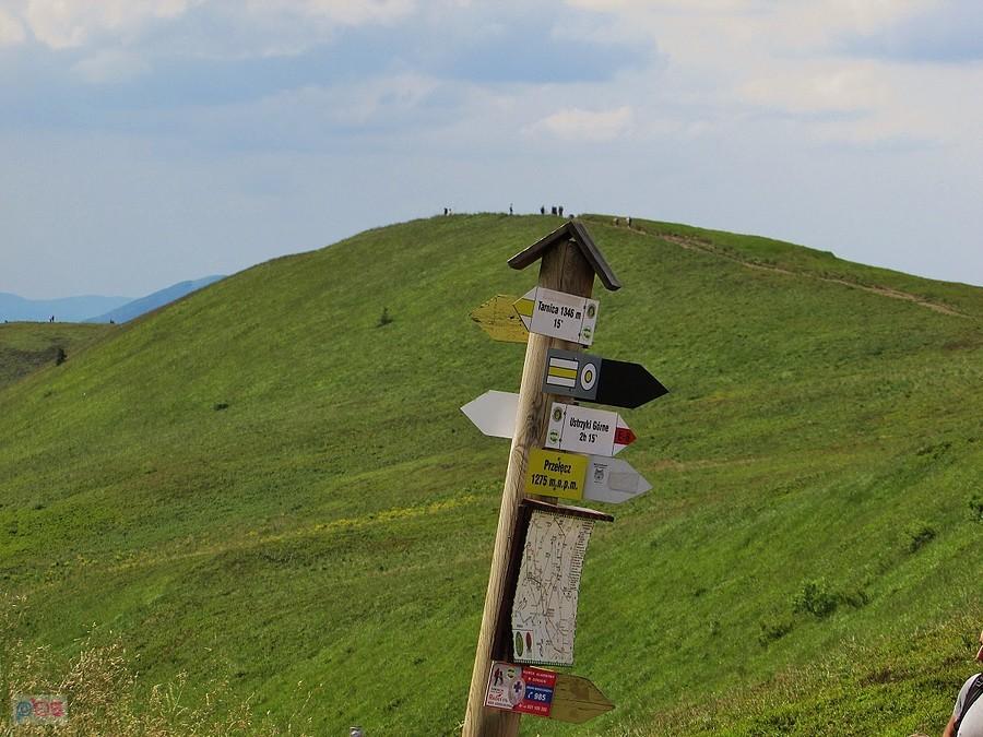 Na przełęczy pod Tarnicą