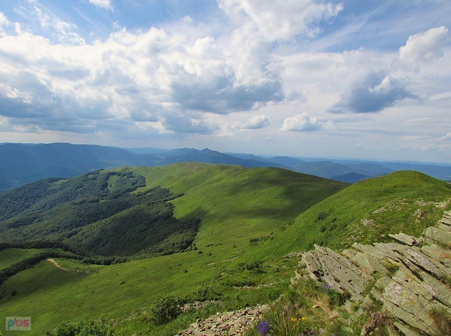 Widok z Tarnicy w stronę Szerokiego Wierchu