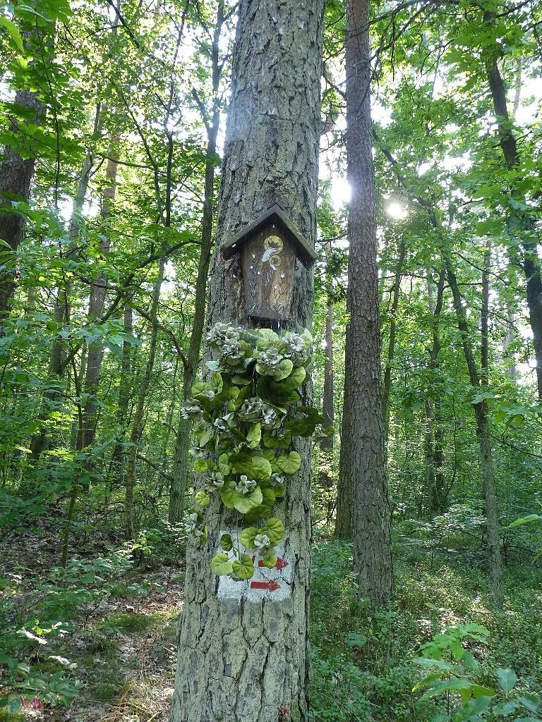 Matka Boska i Leśno Uciecha
