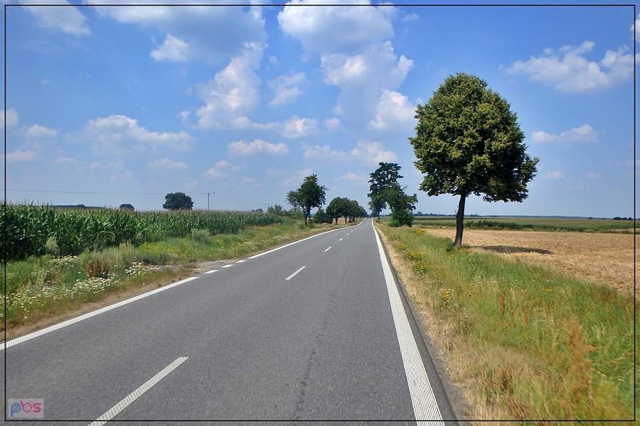 Gładki asfalt w drodze do Namysłowa
