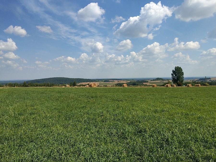 Widoczek koło Bystrzanowic