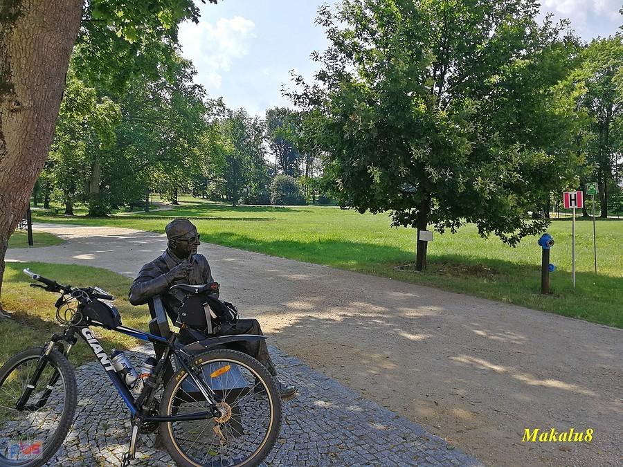 Pusto w koszęcińskim parku