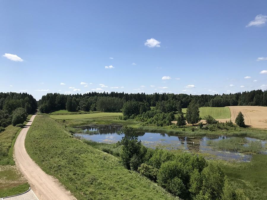 widok z wieży