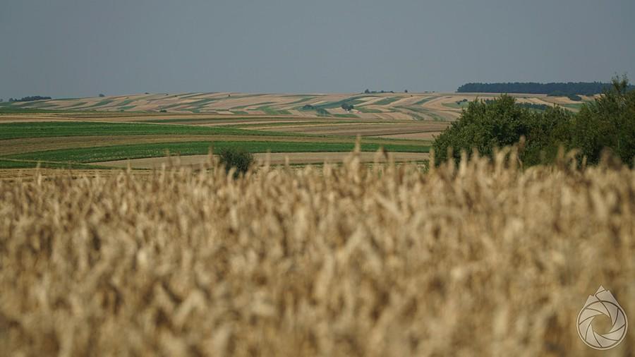 pola sułoszowskie