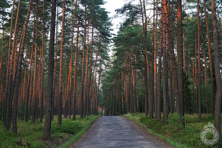 poszatkowny asfalt drogi do Mikołeski