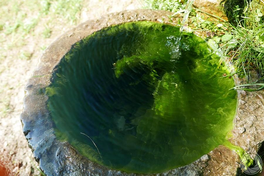 magiczne źródełko przy drodze