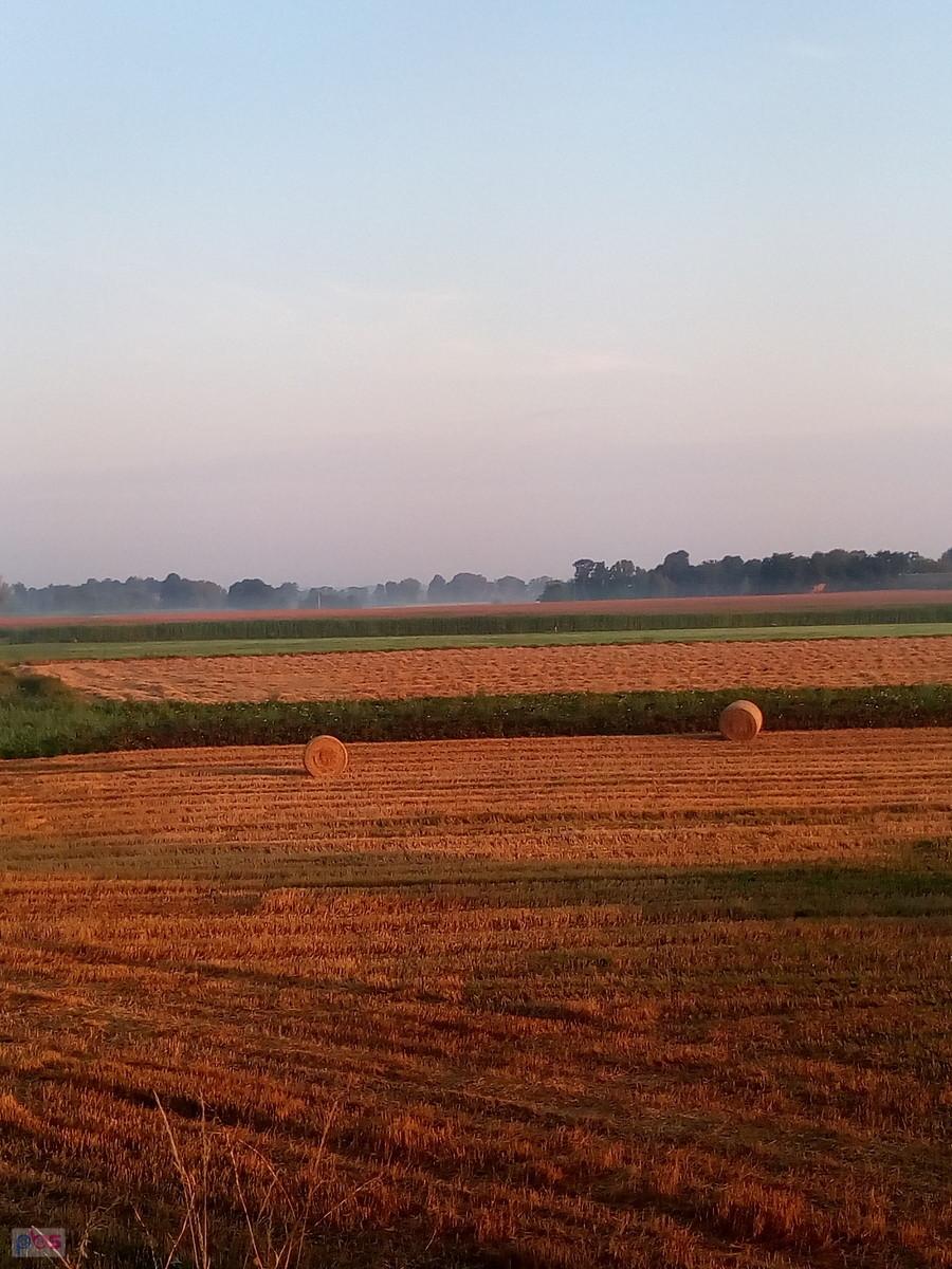 Już po żniwach