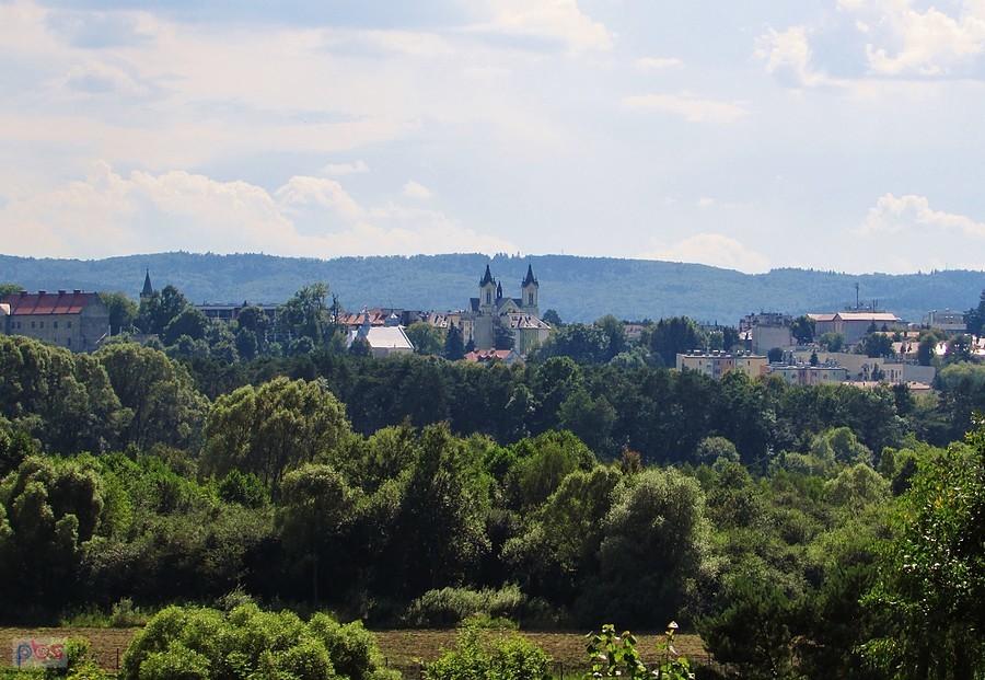 Widok na Sanok z terenu skansenu