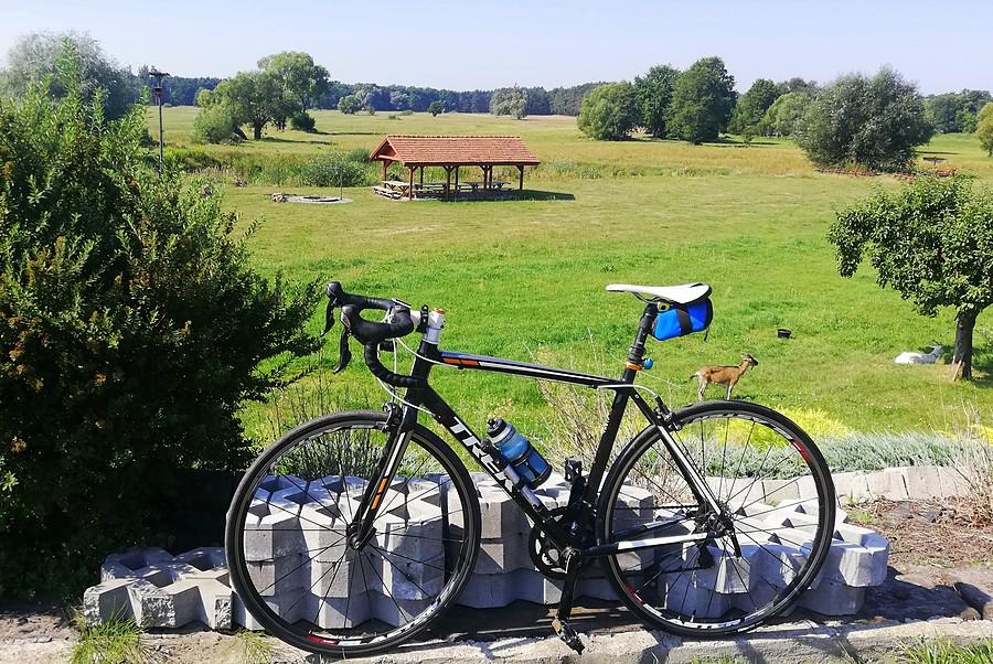 Znów na agroturystyce w Radzewicach