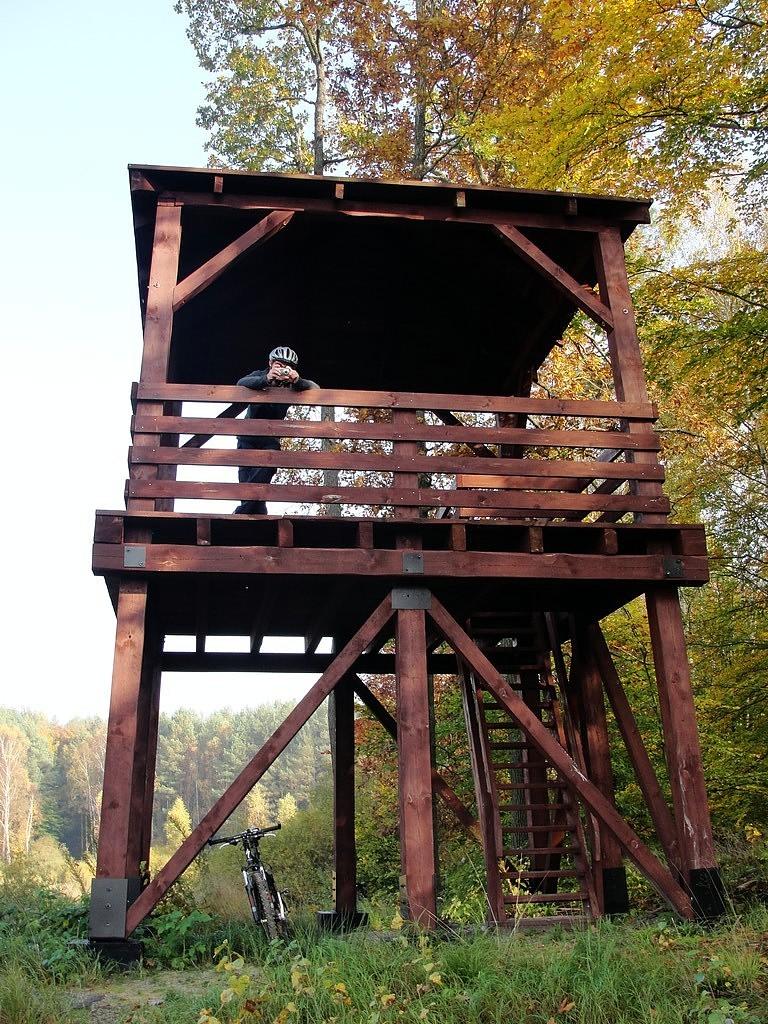 Wieża widokowa na bagnach w Nadleśnictwie Bogdaniec