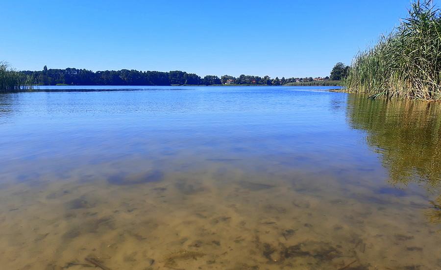 Kawałek Jeziora Bnińskiego