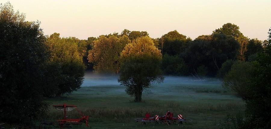 Godzina piąta, minut trzydzieści, czyli poranek w agroturystyce, Radzewice