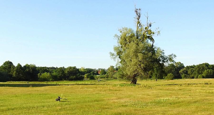 Ta kropka to... Kropka :), Radzewice