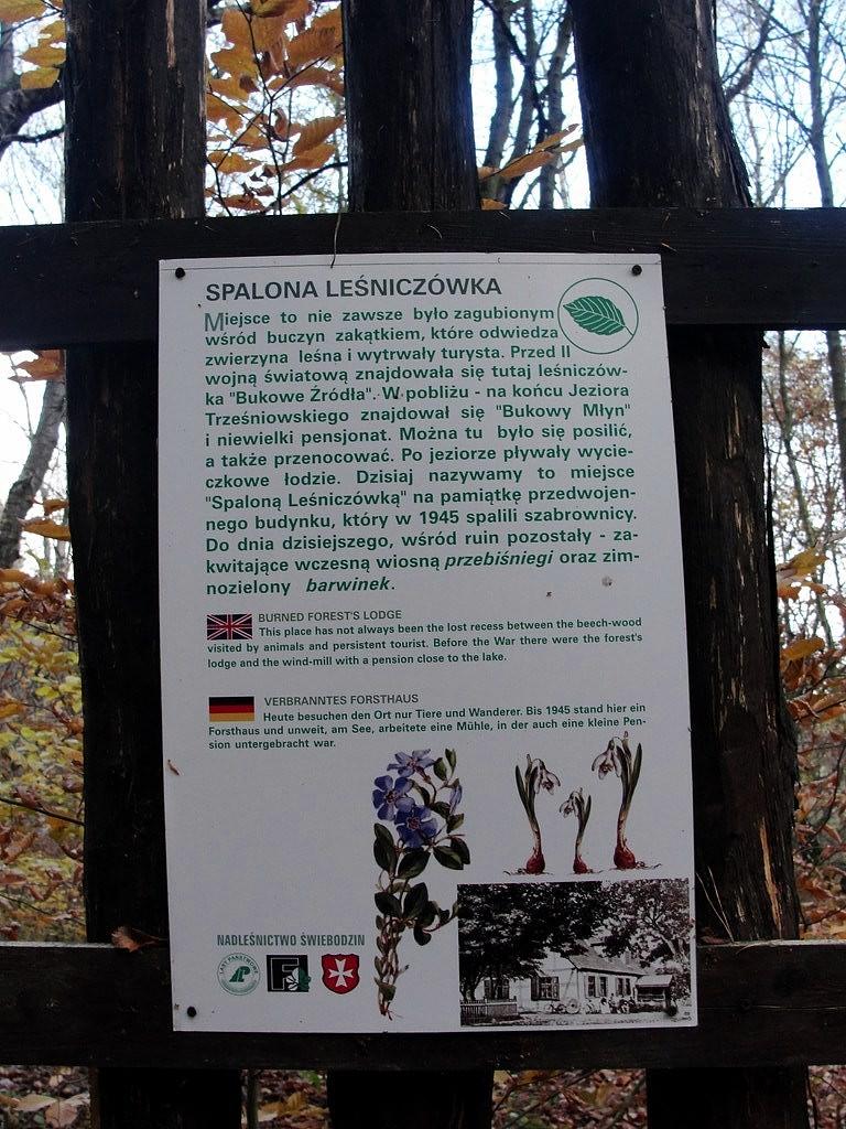Okolice spalonej leśniczówki