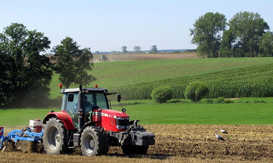 Polski sierpień w pigułce