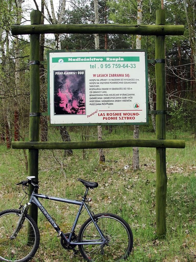 Nadleśnictwo Rzepin