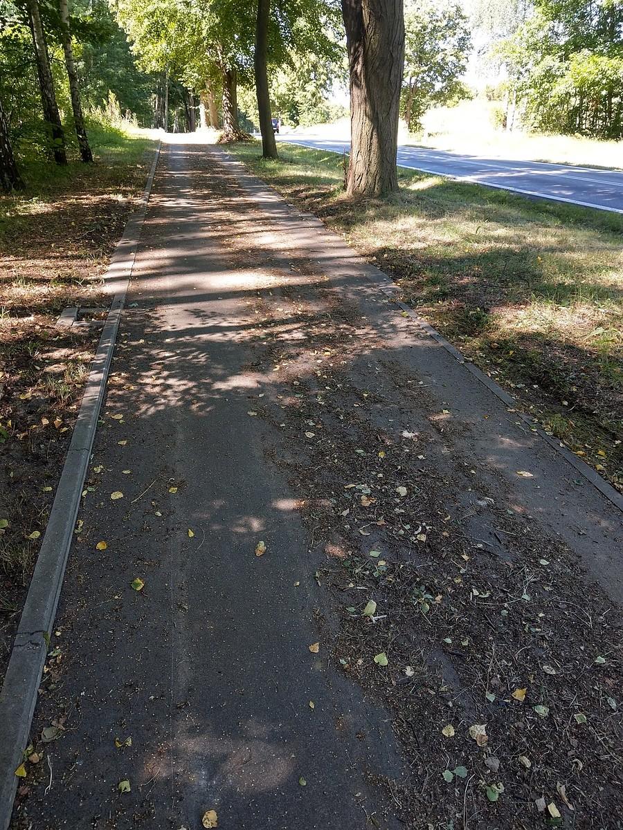"Przyjazna" gmina Olsztyn - tak wygląda utrzymanie dróg rowerowych którymi się chwalą