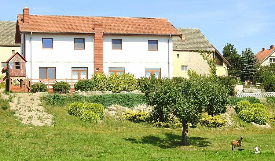 Ostatnie spojrzenie na genialne, spokojne agro, Radzewice