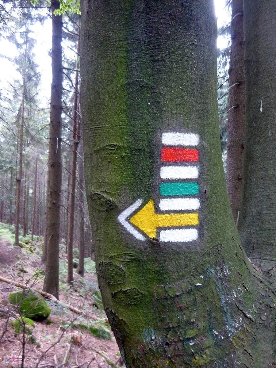 Oznaczenia czytelne