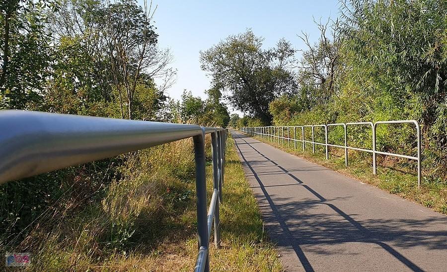 DDR-ka do Starego Czarnowa
