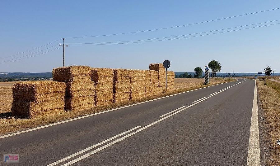 Michałowa miejscówka do zdjęcia