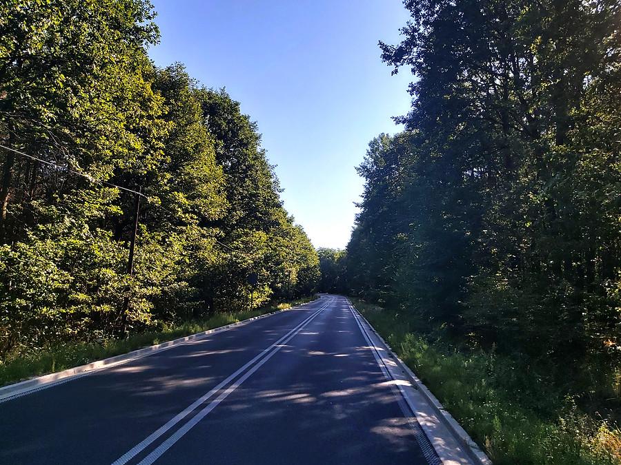 Droga przez Przemęcki Park Krajobrazowy