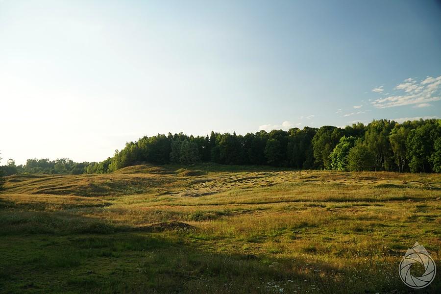 przy SOO PLeszczotka
