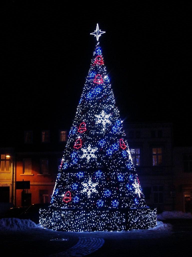 Chionka w Sulęcinie