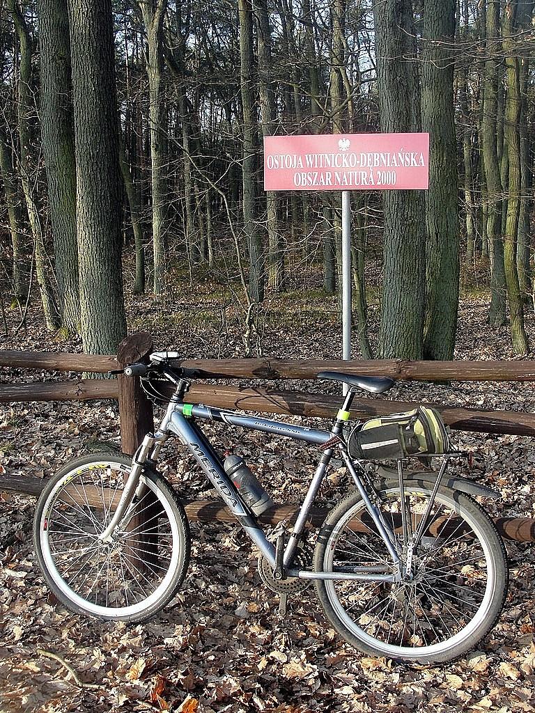 Obszar natura 2000 - Ostoja Witnicko - Dębniańska