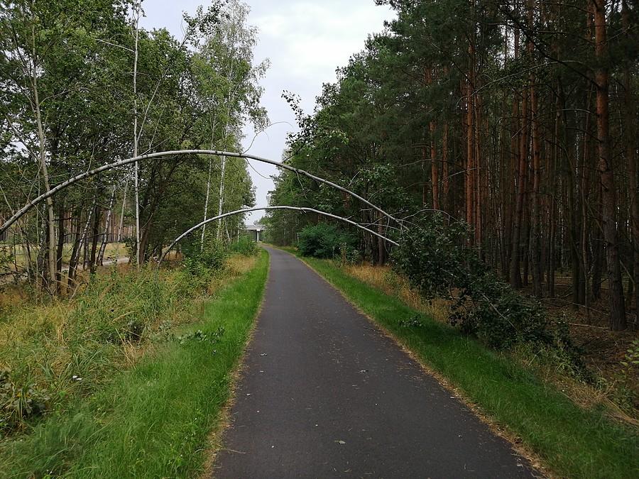 Dość niecodzienny widok.