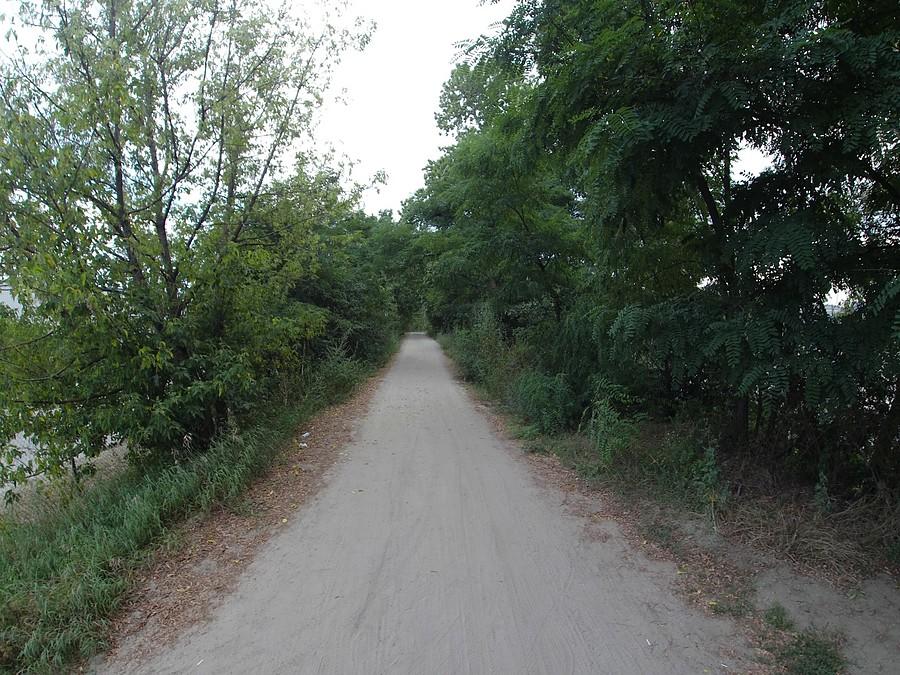 Szutrówka wzdłuż Kanału