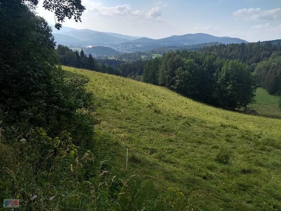 Łączka przy szosie na Rejviz